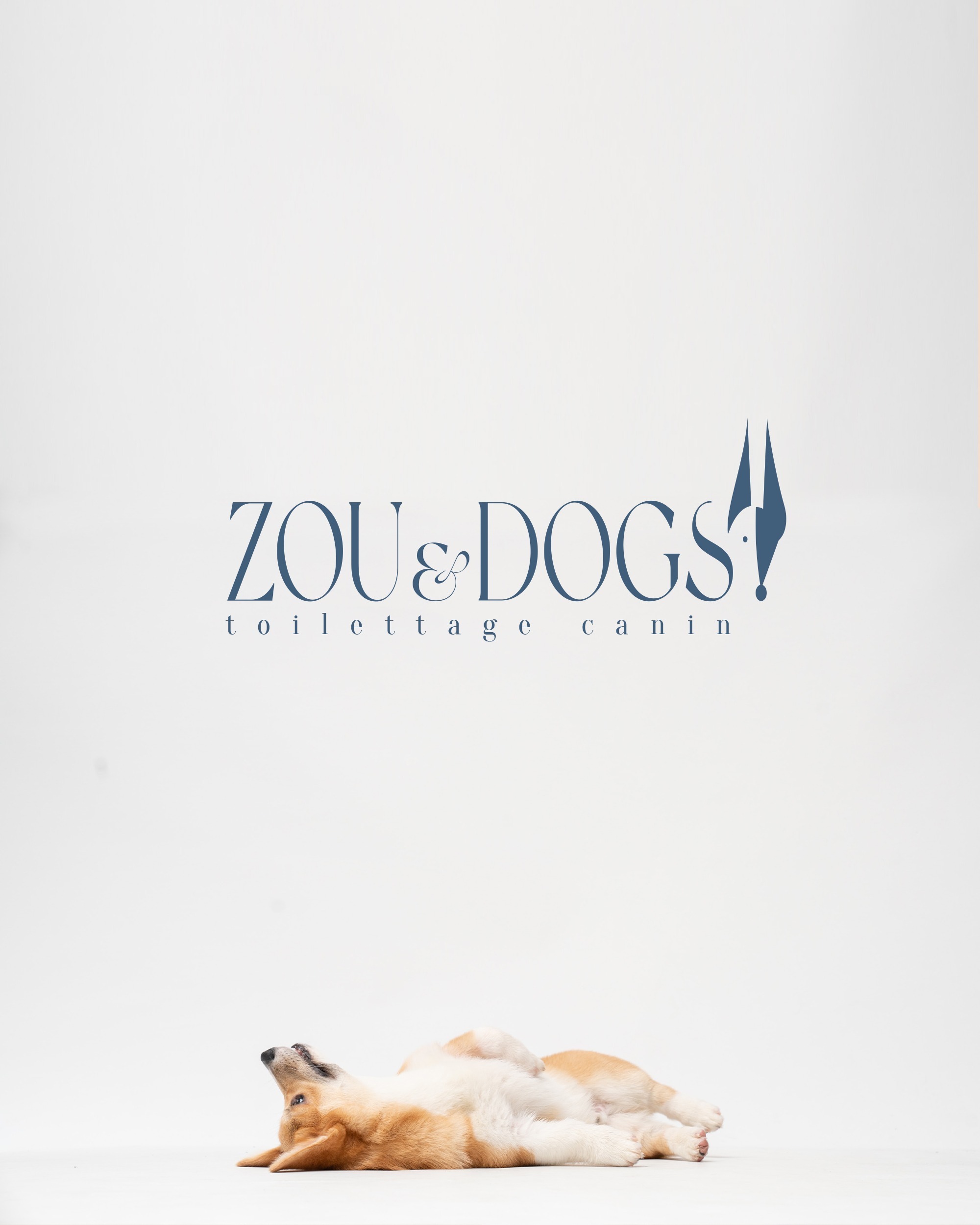 Zou & Dogs - Wexible Agency (5)